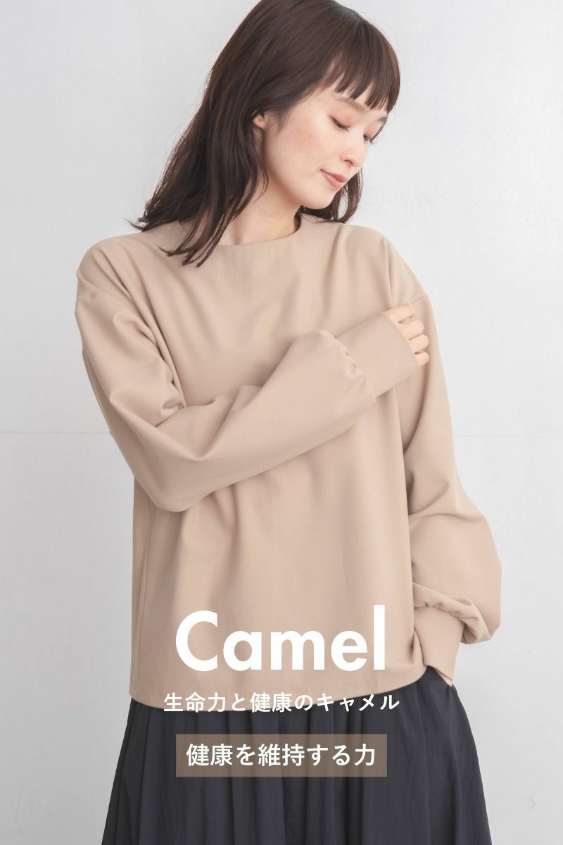 キャメル